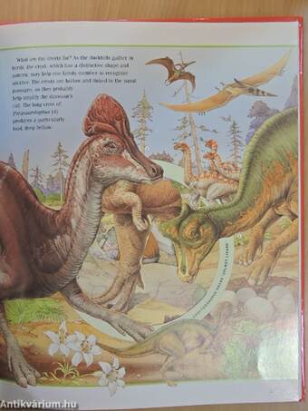 The Incredible Journey through the World of the Dinosaurs