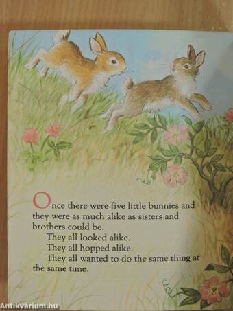 Five Little Bunnies