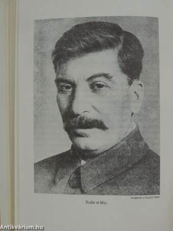 Stalin as revolutionary