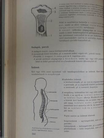 Biológiai önképző