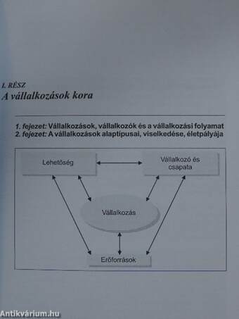 Vállalkozás az ötlettől az újrakezdésig