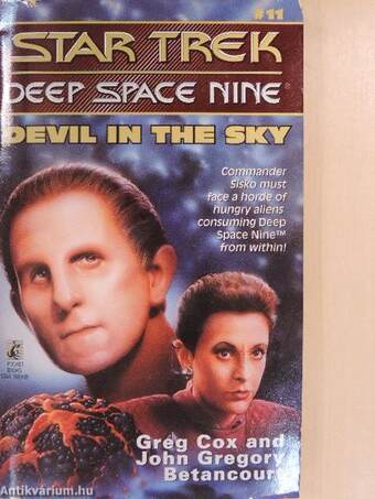 Star Trek: Deep Space Nine - Devil in the sky