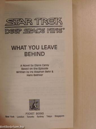 Star Trek: Deep Space Nine - What you leave behind