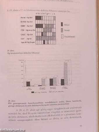 Fej-nyaki daganatok prevenciója és ellátása