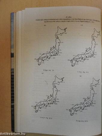 Japán a felzárkózás anatómiája