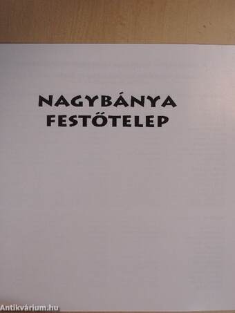 Nagybánya Festőtelep