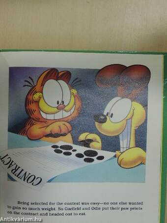 Garfield's Sumo Beach Bellyball