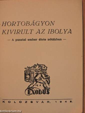 Hortobágyon kivirult az ibolya