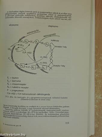 Az orvostudomány aktuális problémái 49.