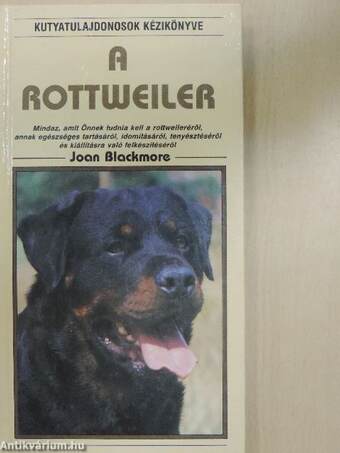 A rottweiler