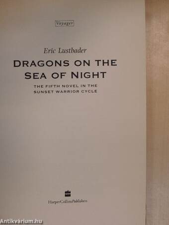 Dragons on the sea of night