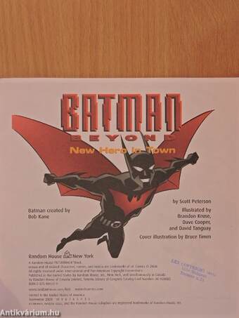 Batman Beyond - New Hero in Town