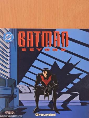 Batman Beyond - Grounded