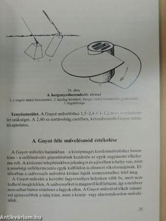 Szőlősgazdáknak régi és új művelésmódok