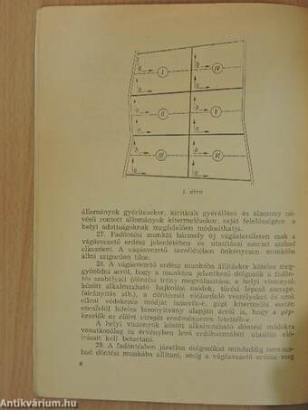 Erdészeti balesetelhárító és egészségvédő óvórendszabály