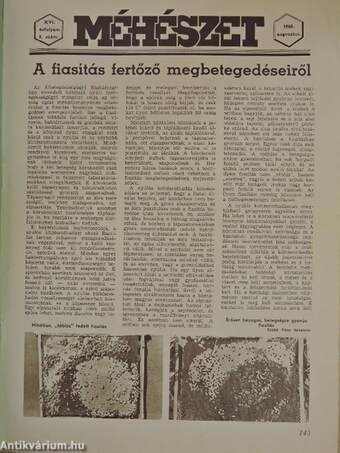 Méhészet 1968. augusztus