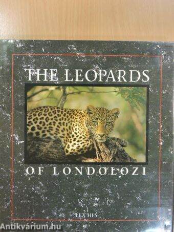 The Leopards of Londolozi