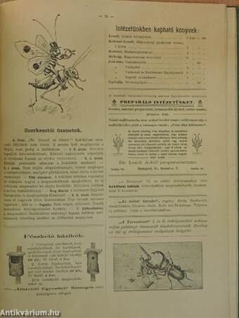 A Természet 1902. szeptember 1.-1903. augusztus 15.