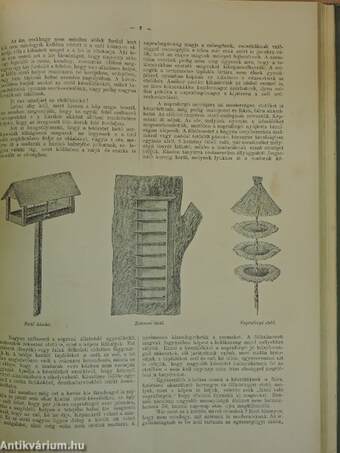 A Természet 1902. szeptember 1.-1903. augusztus 15.