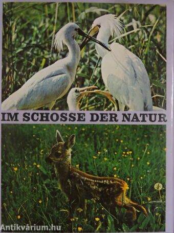 Im Schosse der Natur