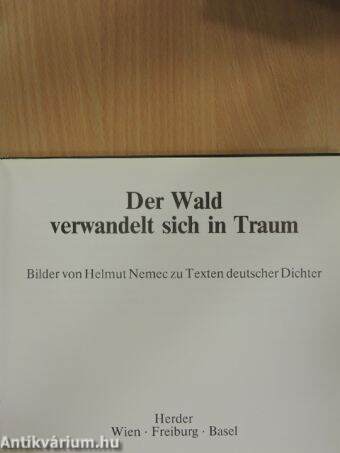 Der Wald verwandelt sich in Traum