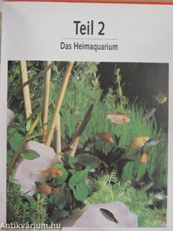 Das BLV Aquarienbuch