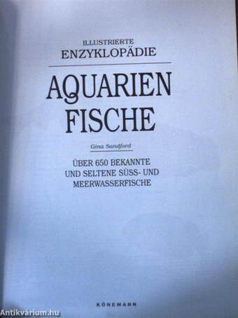 Aquarien Fische