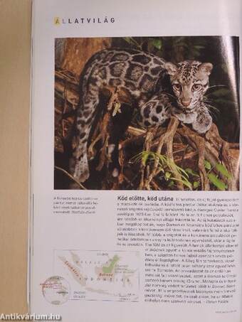 National Geographic Magyarország 2007. október