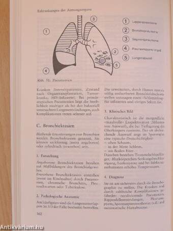 Innere Medizin I-II.