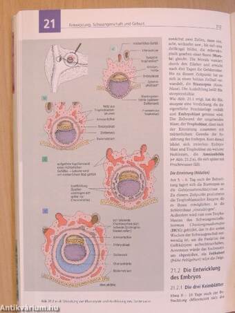 Biologie, Anatomie, Physiologie für die Pflegeberufe