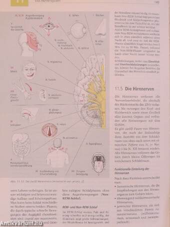 Biologie, Anatomie, Physiologie für die Pflegeberufe