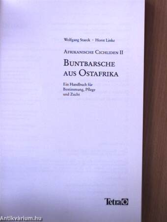 Buntbarsche aus Ostafrika