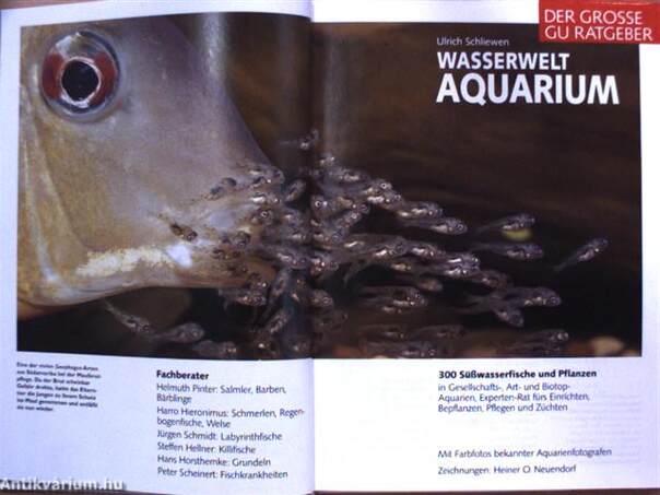 Wasserwelt Aquarium