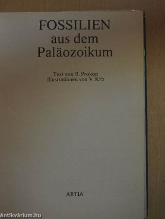 Fossilien aus dem Paläozoikum