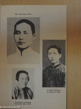 Portrait of a Revolutionary: Mao Tse-Tung