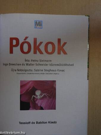 Pókok