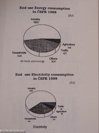 Institutional challenge for sustainable development in Czechoslovakia