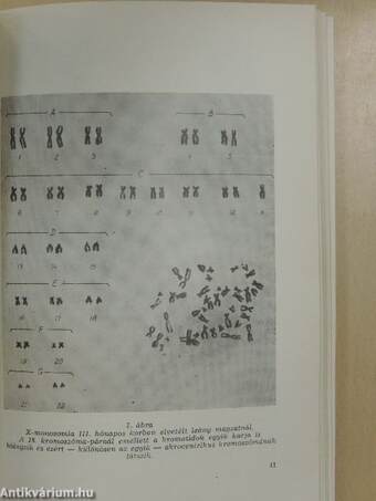 Prae- és perinatalis kérdések