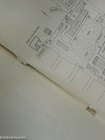 A Magyar Biofizikai Társaság, Magyar Biokémiai Társaság és Magyar Élettani Társaság 1977. évi közös vándorgyűlésének programja