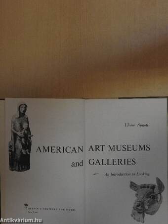 American Art Museums and Galleries