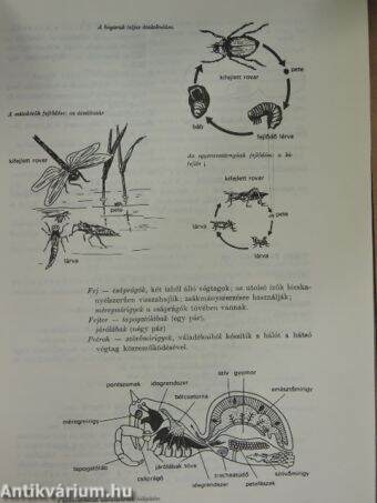 Biológiai önképző