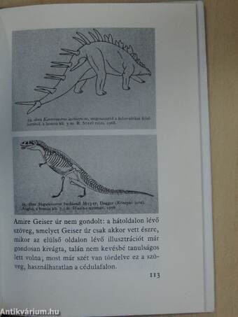 Az ember a holocénban jelenik meg 