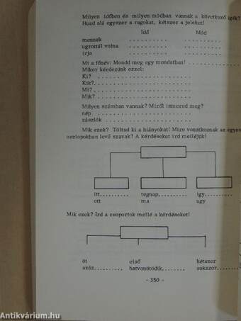 A gondolkodás nevelése az általános iskolában