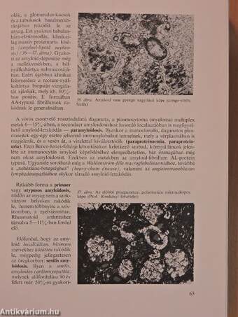 Pathologia 1-2.