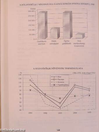 Pest megye statisztikai évkönyve 1995