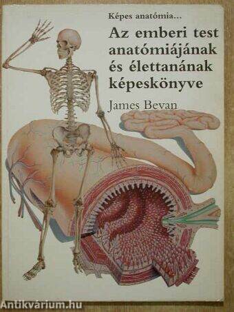 Az emberi test anatómiájának és élettanának képeskönyve