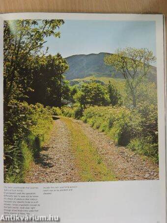 Picture book of Britain in colour