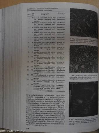 Orvosi Hetilap 1991. január-december I-II.