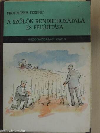 A szőlők rendbehozatala és felújítása