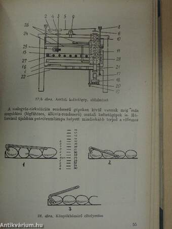 Baromfitenyésztés